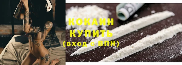 шишки Наволоки
